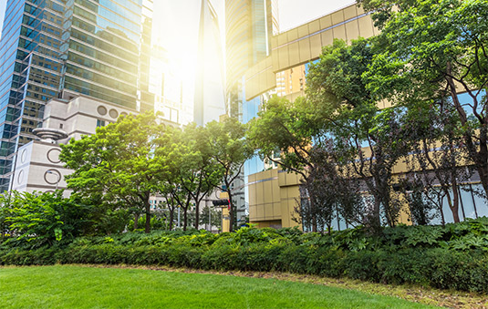 green city
