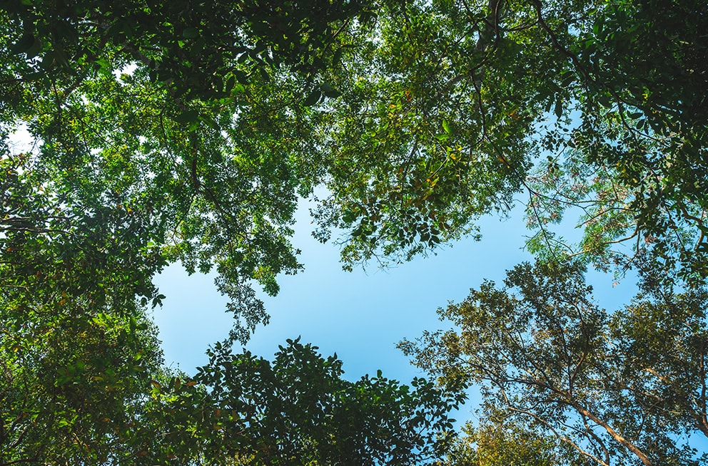 Atingir metas de sustentabilidade