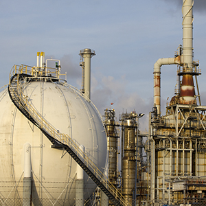 LNG_300x300.jpg