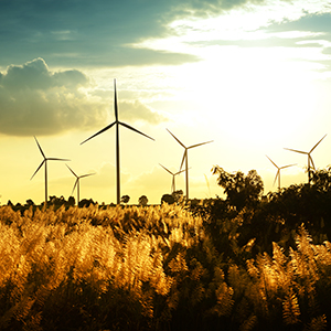 Windfarm_300x300.jpg